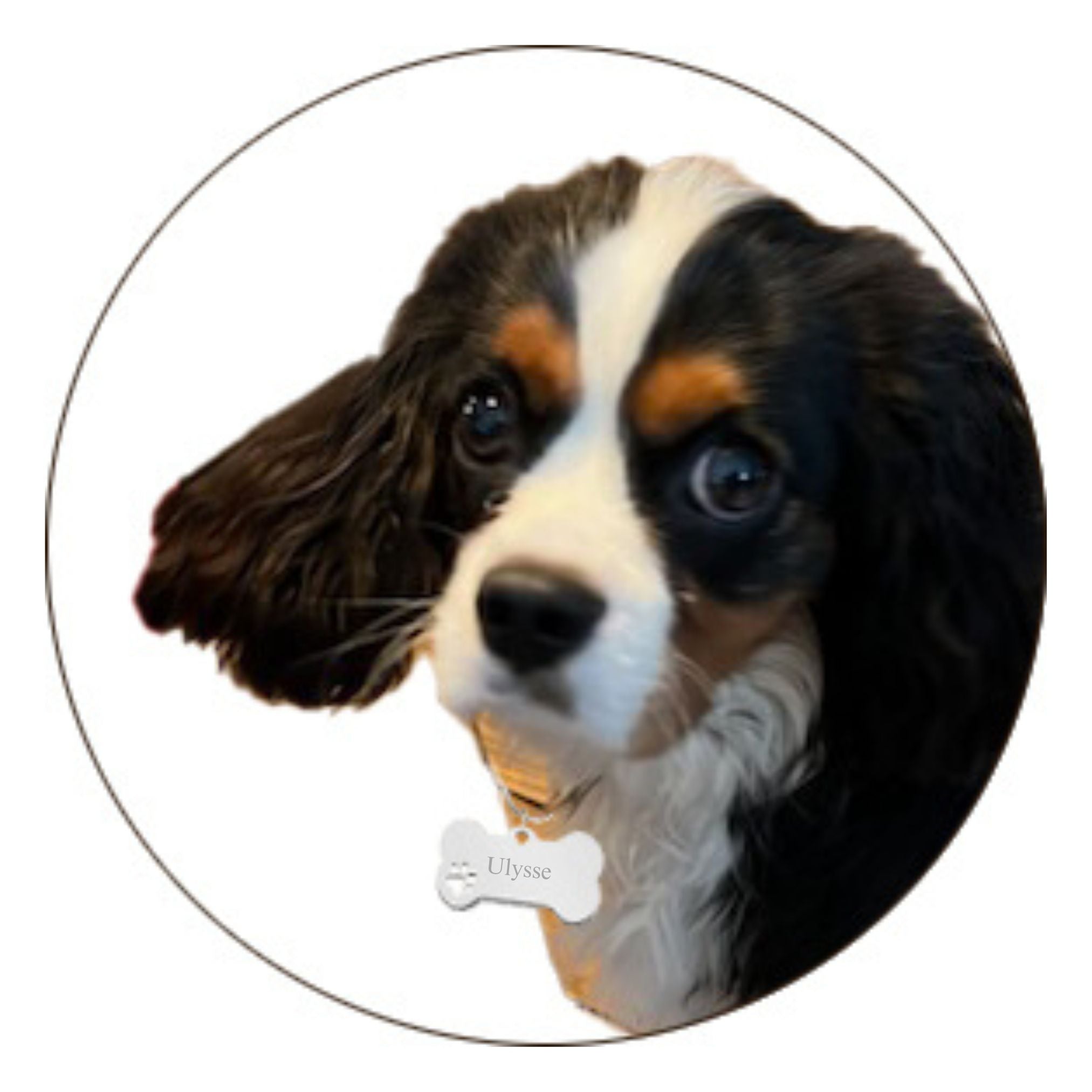 Médaille Chien Gravée - Os - Acier