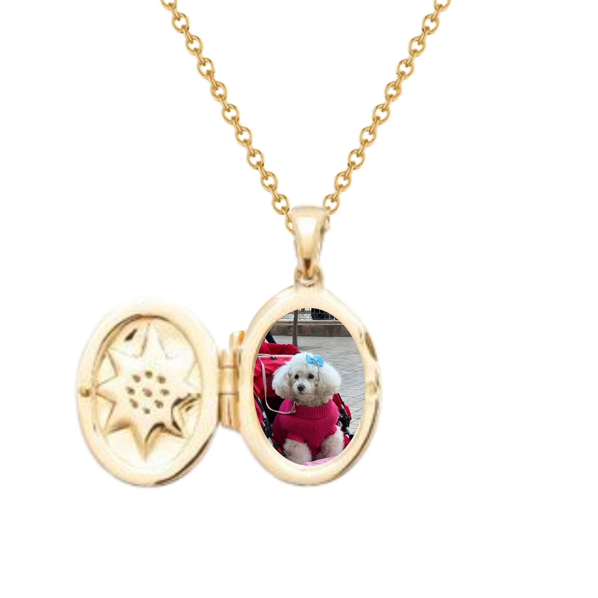 Collier Personnalisé Femme - Médaillon Secret Ovale Rose des Vents - Plaqué Or 18K