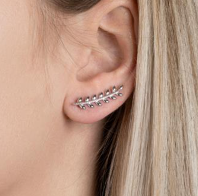 Boucles d'Oreilles Montantes - Lauriers - Argent