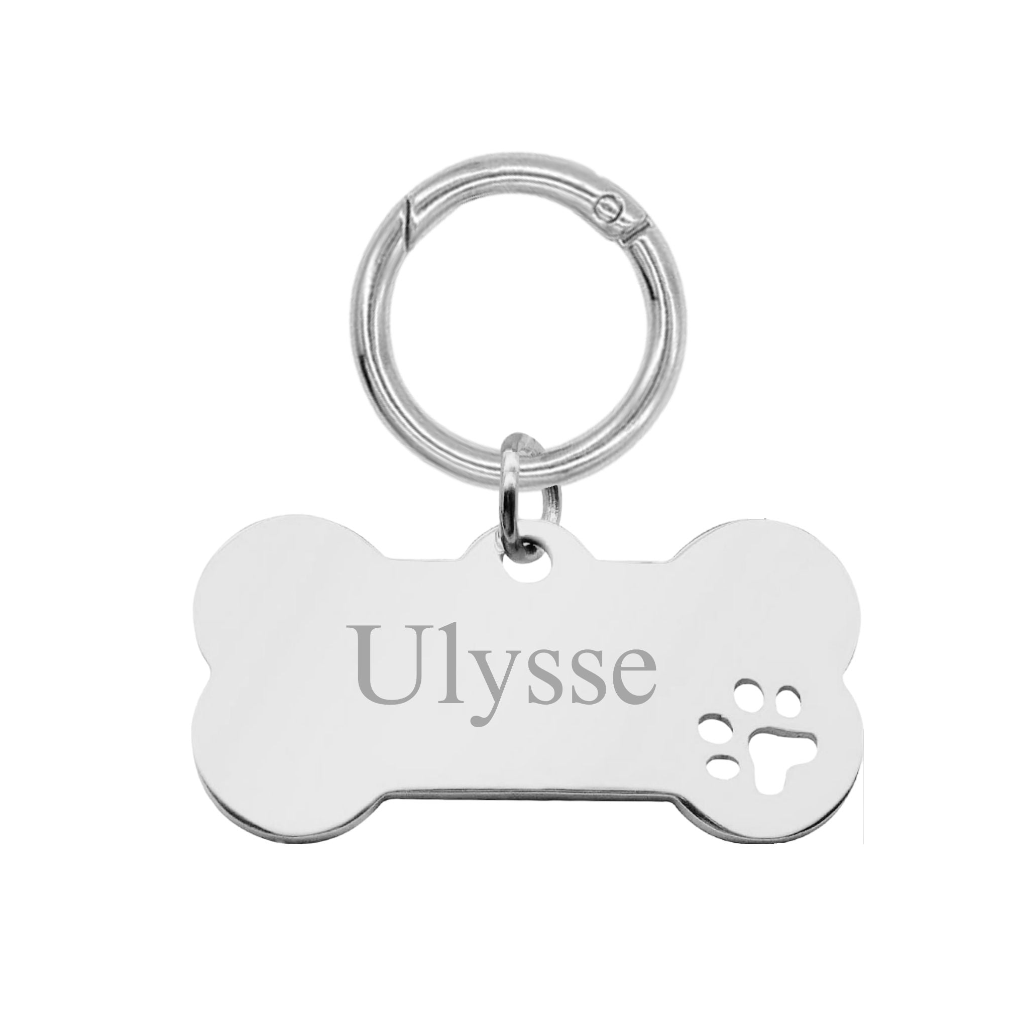 Médaille Chien Gravée - Os - Acier