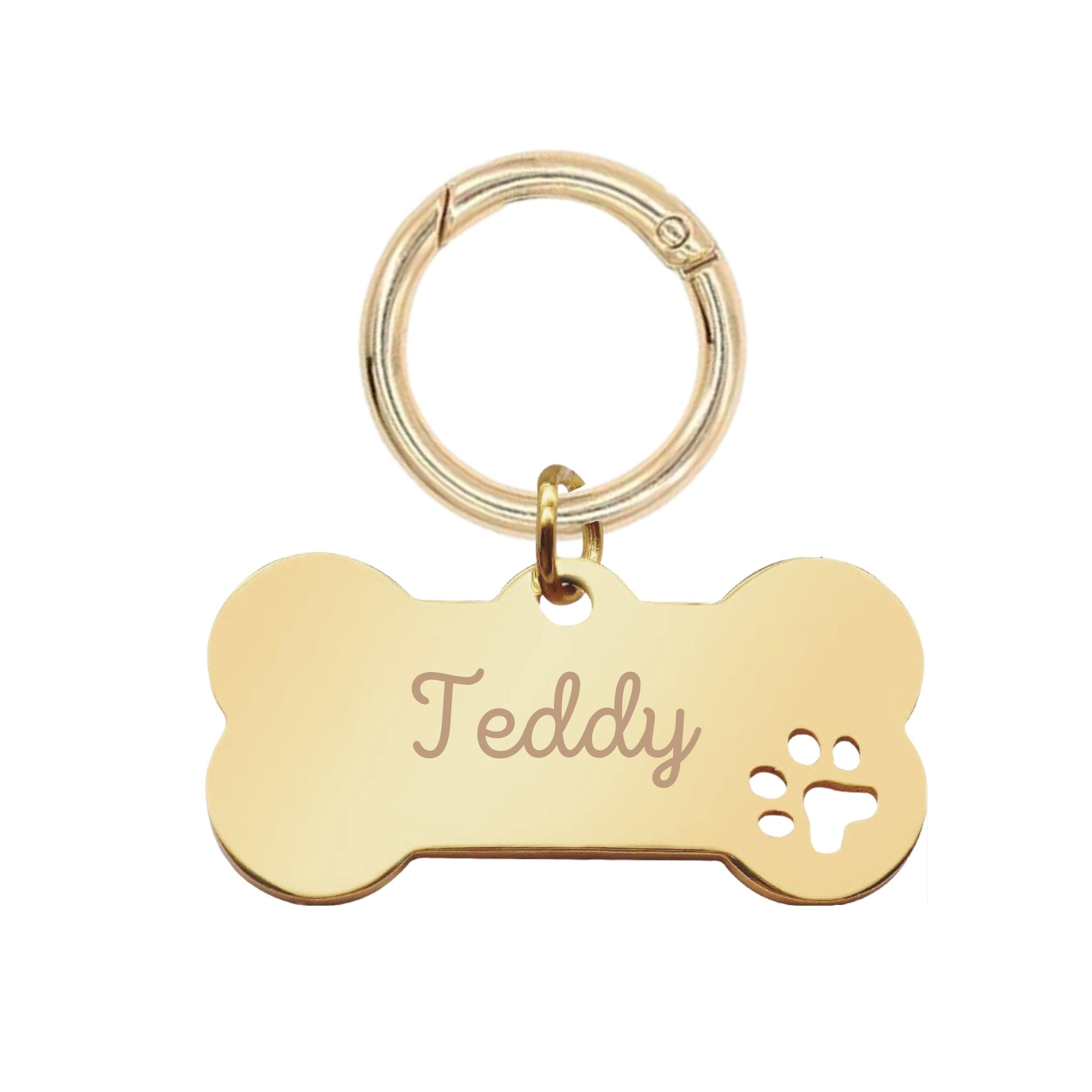 Médaille Chien Gravée - Os - Acier Doré